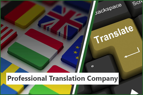  Professional Translation Company